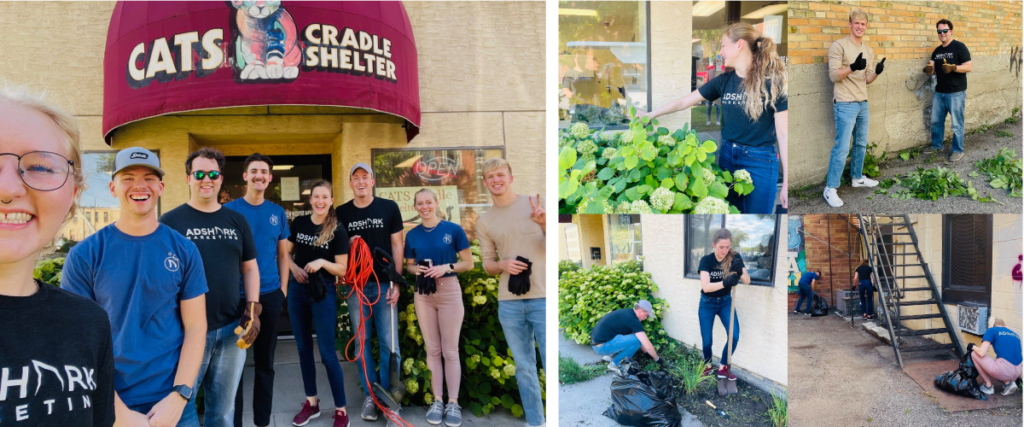 Collage of images of AdShark Marketing employees volunteering at Cat's Cradle Shelter in Fargo, North Dakota.