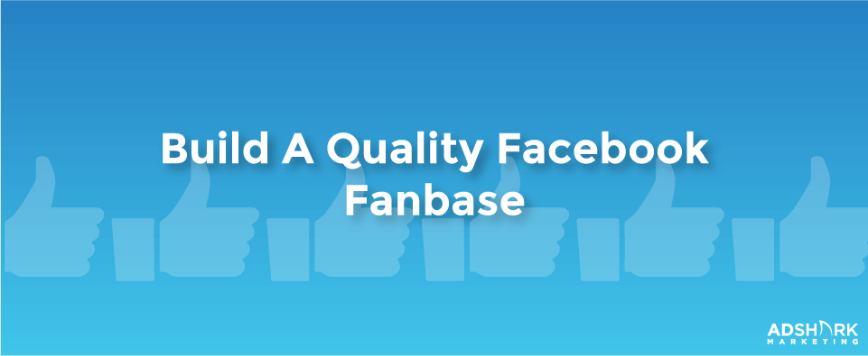 building a Facebook Fanbase