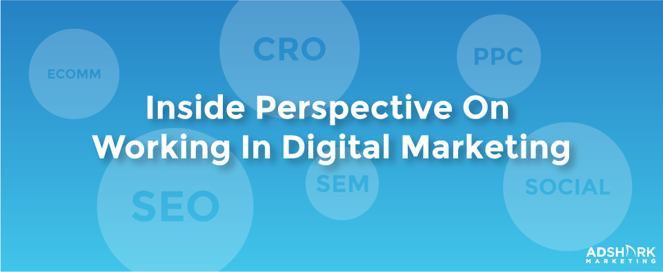 An image box with the text, "e-comm', 'cro', 'ppc', 'seo', 'sem', and 'social' with the title 'inside perspective on working in digital marketing.'