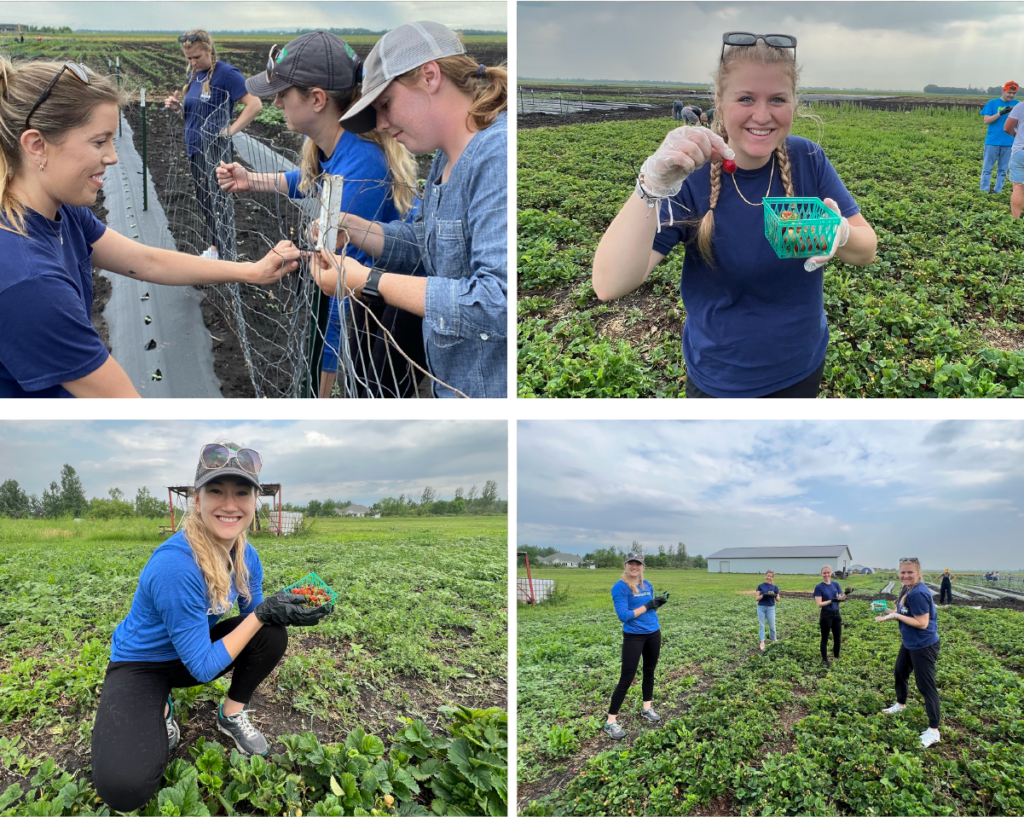 This past June, the AdShark team got outside and got their hands dirty volunteering for Farm in the Dell of the Red River Valley!