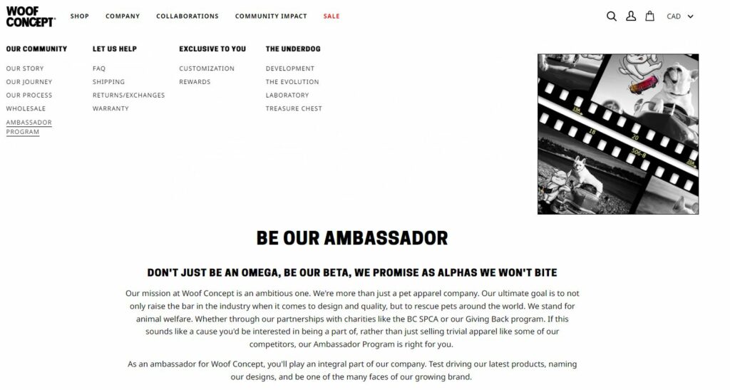 brand ambassador example