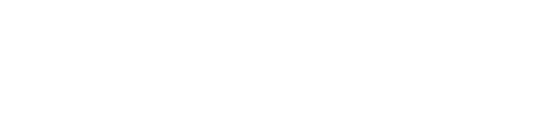 shopify-logo-white